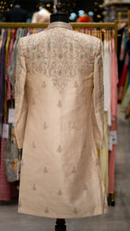 Sherwani ACR6151