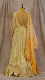 Anarkali SWT2860