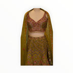Zari Designs Carnival Lehnga in olive green with intricate floral embroidery, beadwork, and a matching sheer dupatta.
