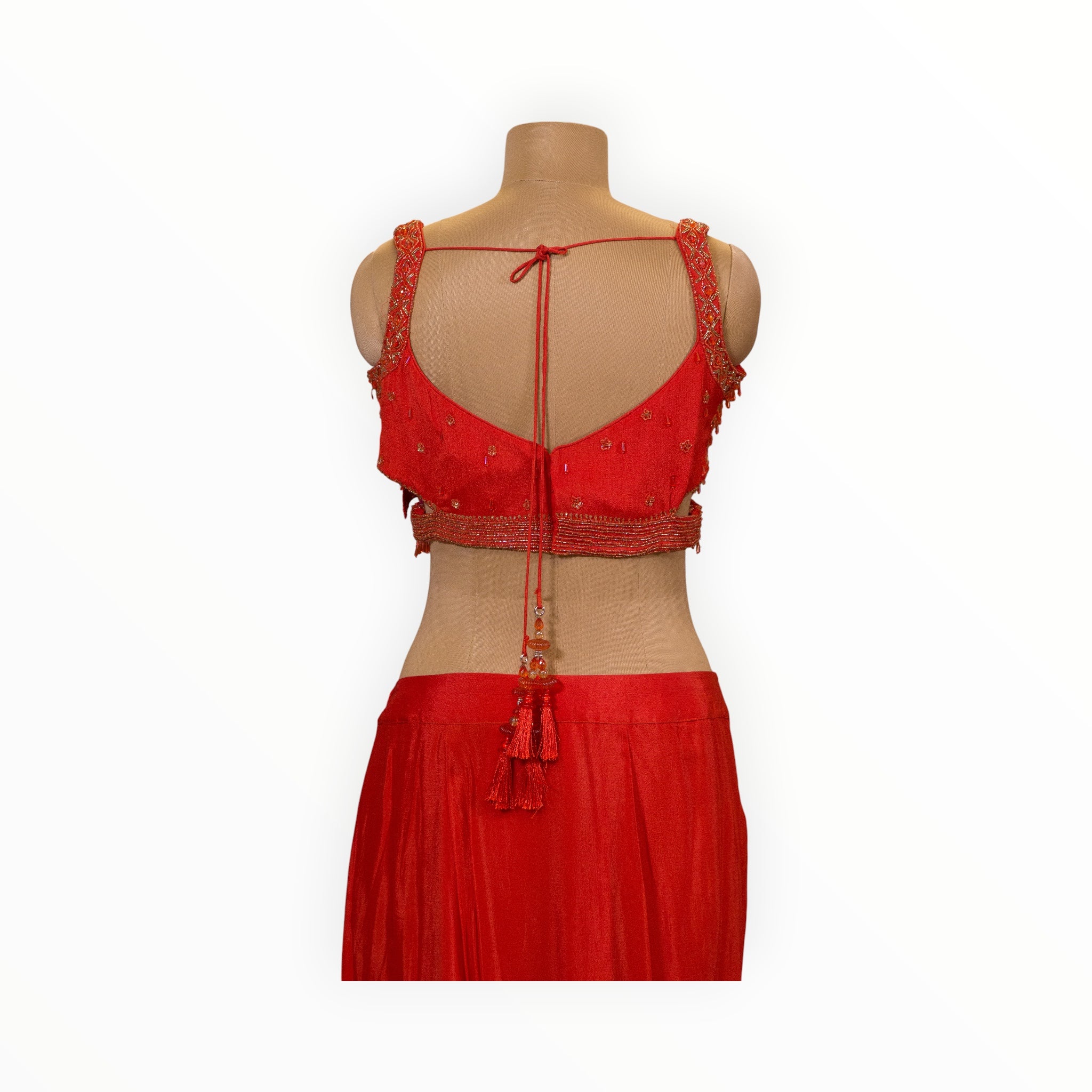 Back view of a Zari Designs red ready saree blouse featuring intricate gold embroidery and beaded tassel tie-up