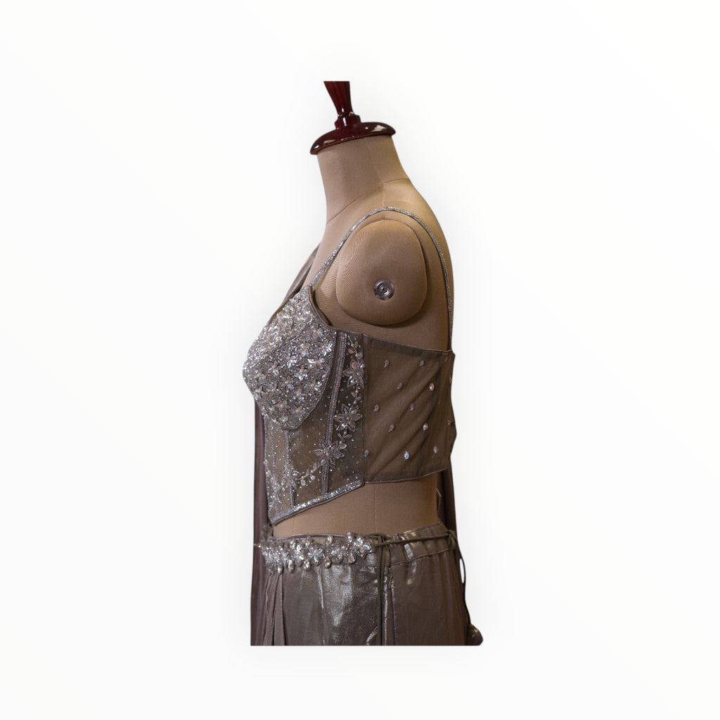 Zari Designs ready saree featuring a silver corset-style blouse with intricate crystal and floral embroidery.